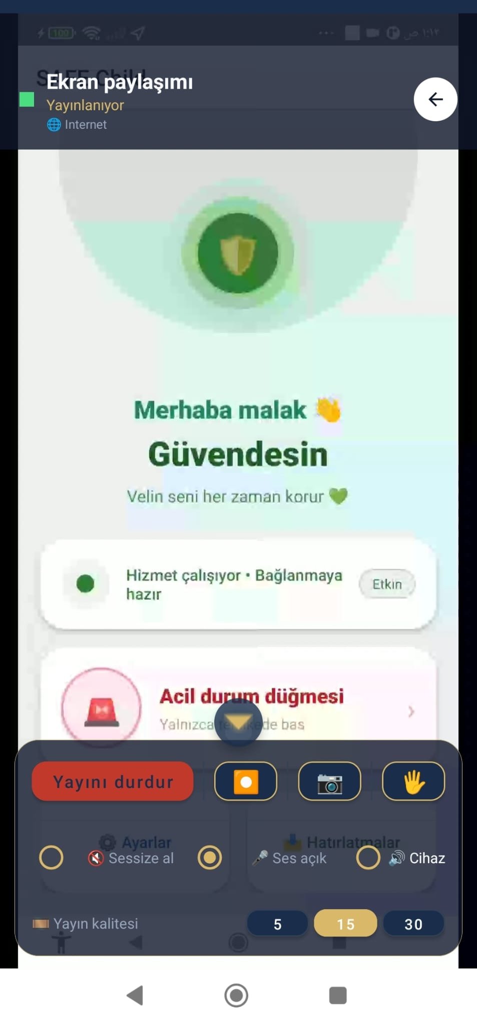 Ekran Paylaşımı